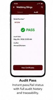 Audit Pass Result