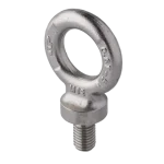 Green Pin Lifting Eye DIN580-Length S/S-GR5 ALDINI